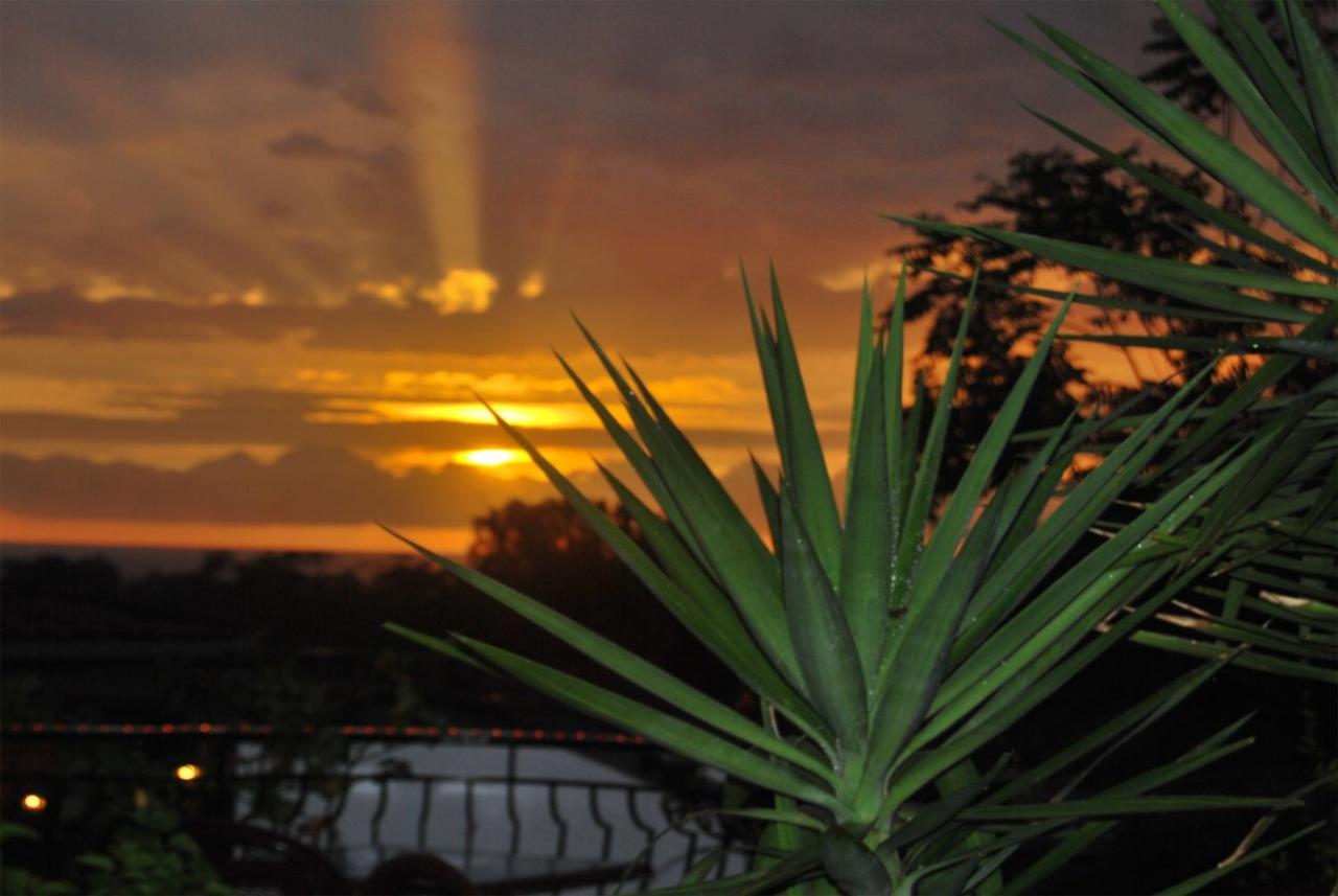 Résidence Le Porto - B&B Bertaud