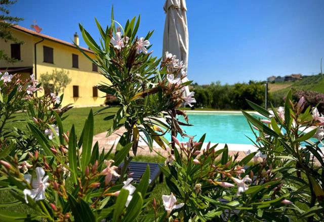 B&B La Pieve - Casale Solindio - Bed and Breakfast La Pieve