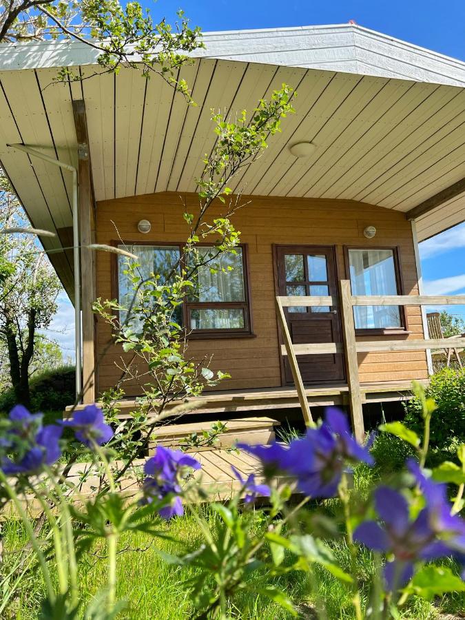 Summer house - Fíflholt - B&B