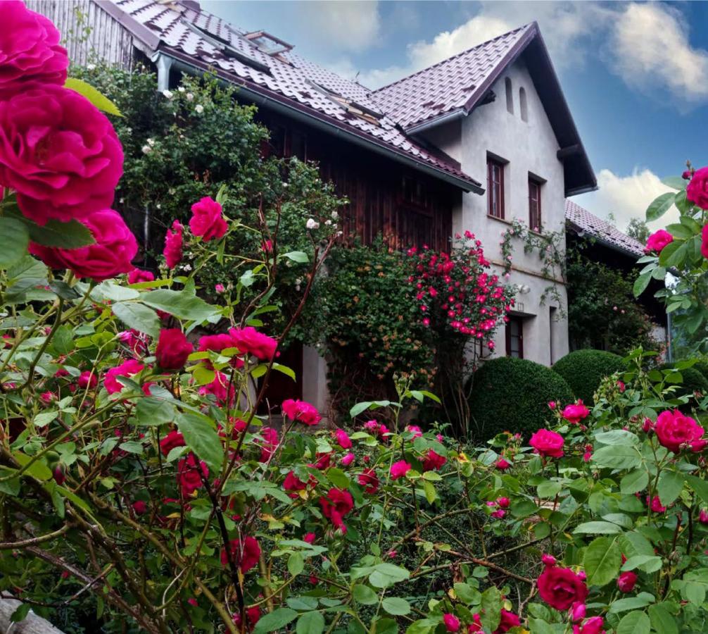 Dom Geologa - B&B