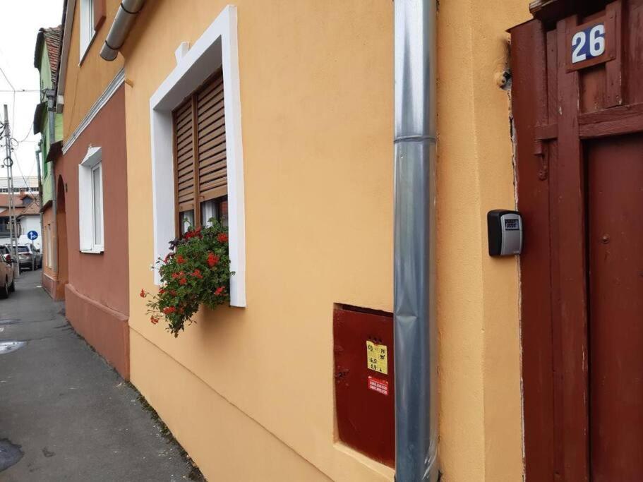 FLH - Apartament Mai cu aromă de cafea și ceai - B&B