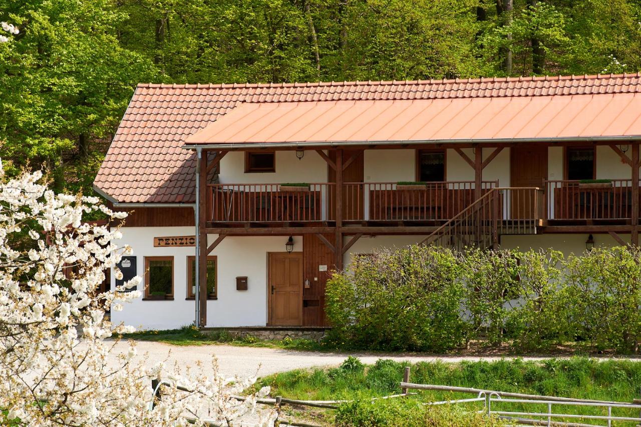 Penzion U Strakatého Koně - Ferienwohnung Blansko