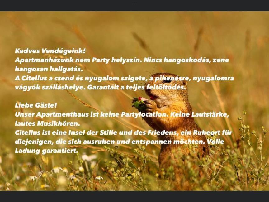 Citellus Apartman - Bed and Breakfast Dunasziget