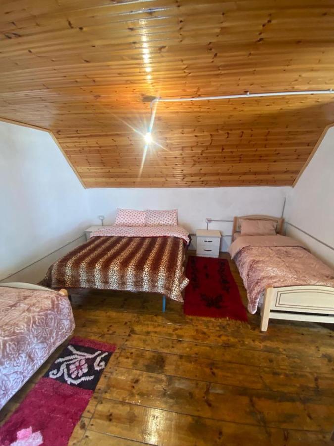Double or Twin Room with Mountain View