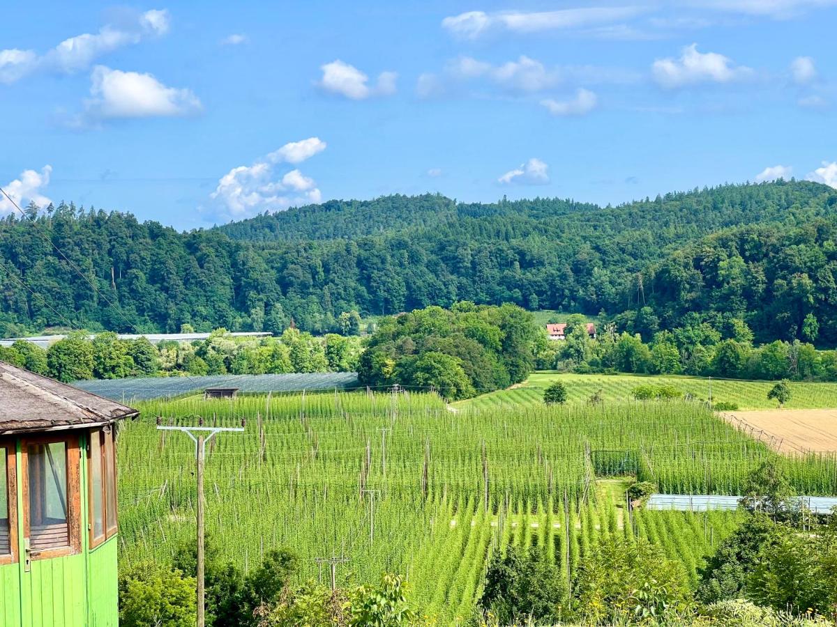 Einzigartiger Panoramablick, Bodensee und Messe in der Nähe - B&B Tettnang