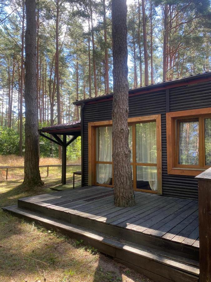 Bungalow 1 Chambre