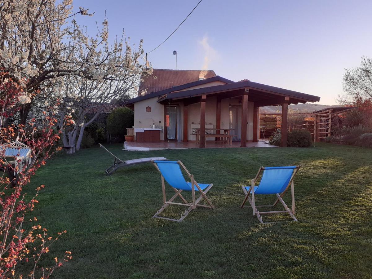 Gatti di Langa - Bed and Breakfast