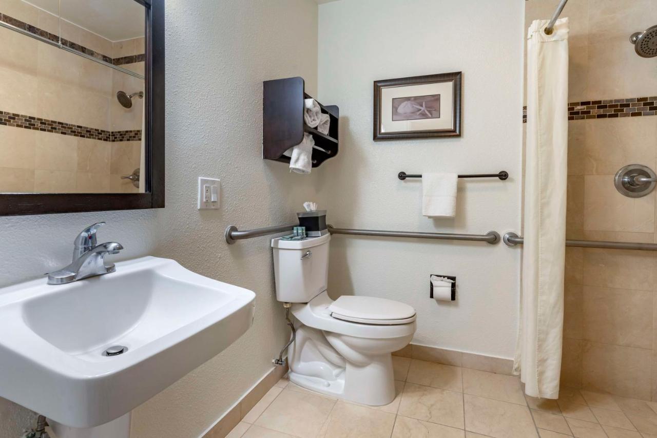 Queen Room with Walk-In shower - Disability Access