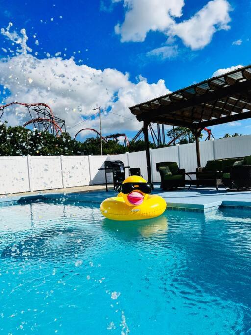B&B Tampa - Busch Gardens Deluxe Edition w/heatedpool - Bed and Breakfast Tampa