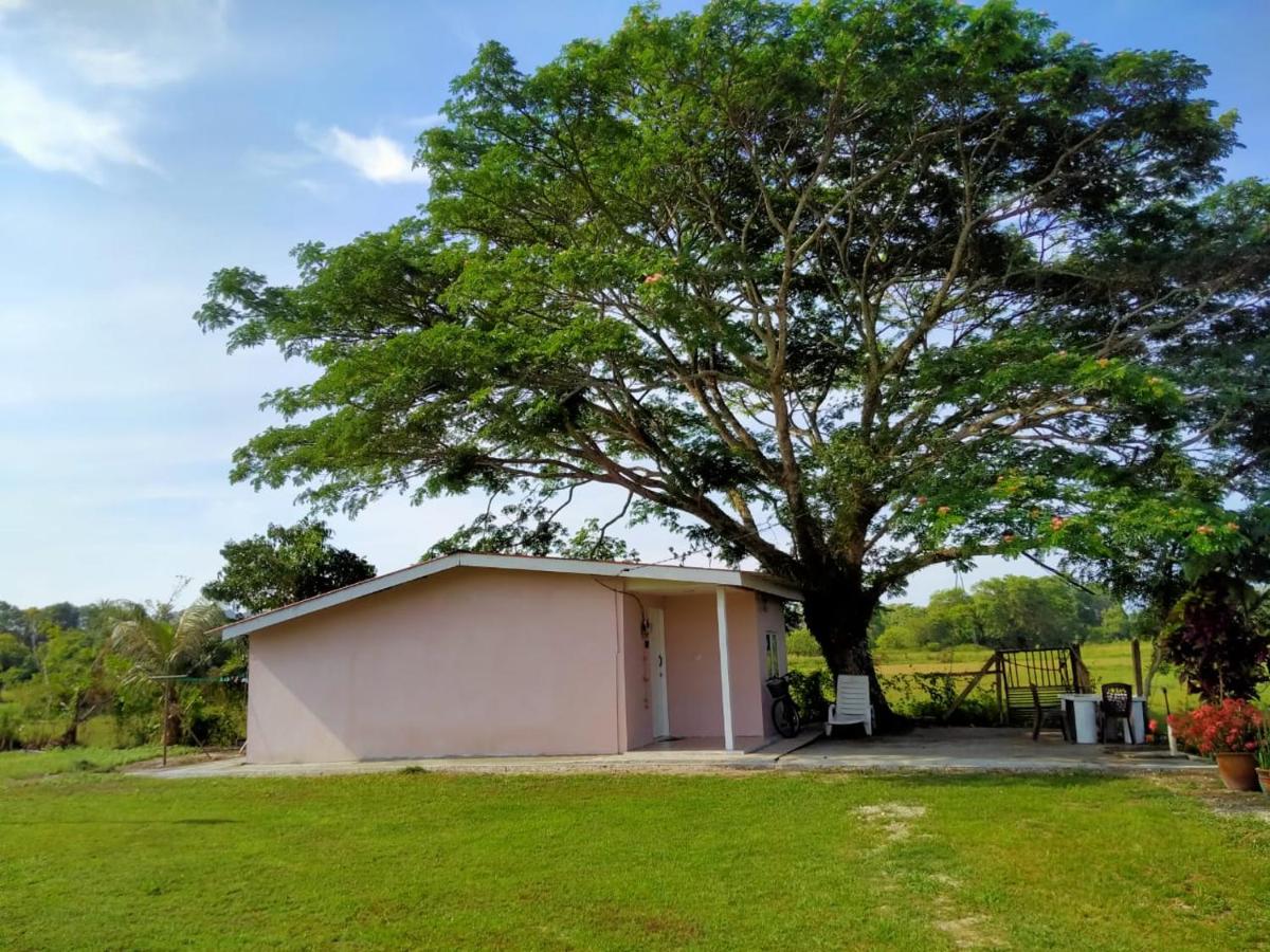 Huis met 1 Slaapkamer