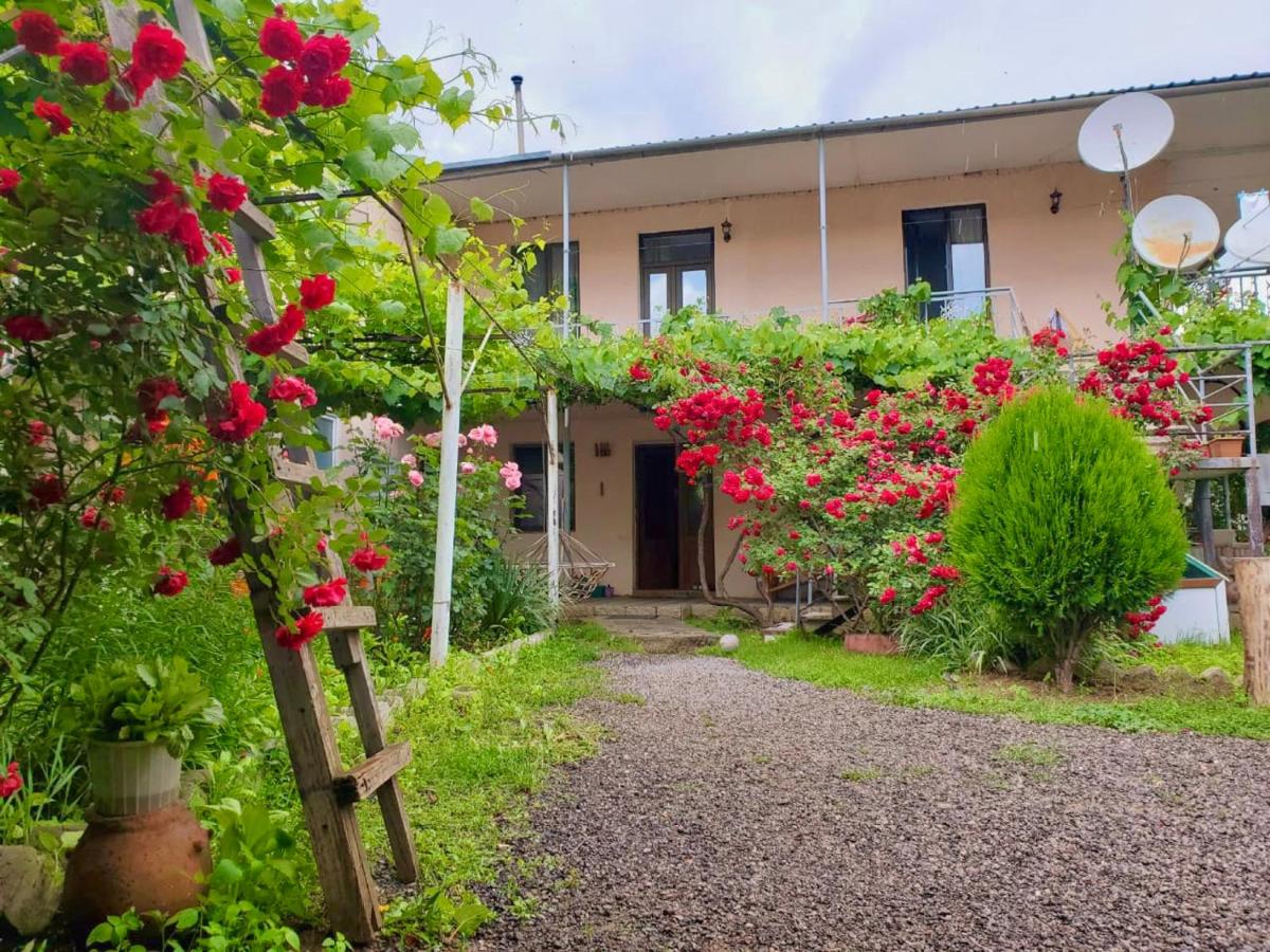 Guesthouse Mtkvari - Ferienwohnung