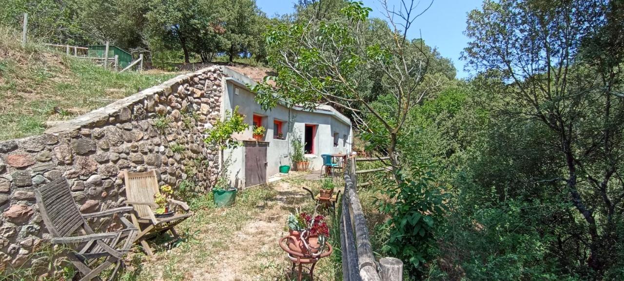 Can Parròquia - B&B San Esteban de Palautordera
