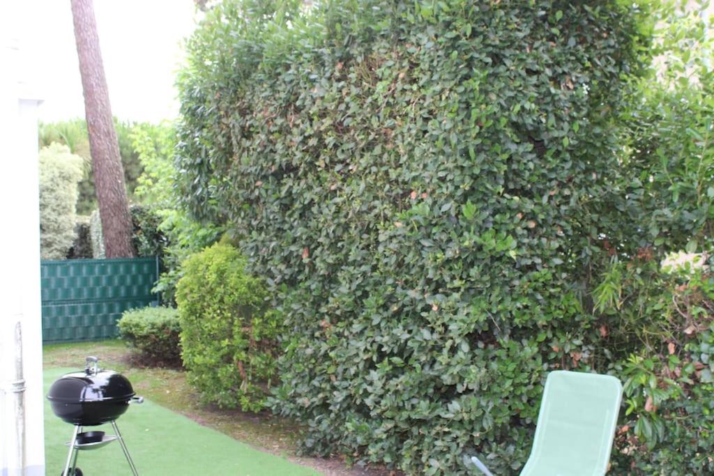 Appartement neuf 2 chambres avec jardin 2 places de parking securise a 300 metres de la plage - Chambres d'hôtes Ronce-les-Bains