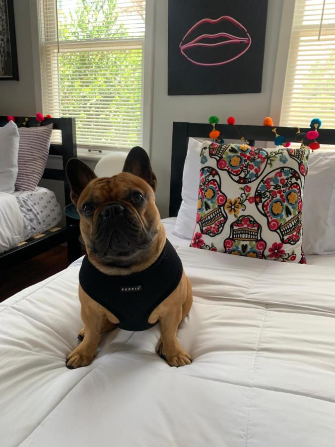 B&B Tampa - Vibing in the Heights/breweries/food/petfriendly - Bed and Breakfast Tampa