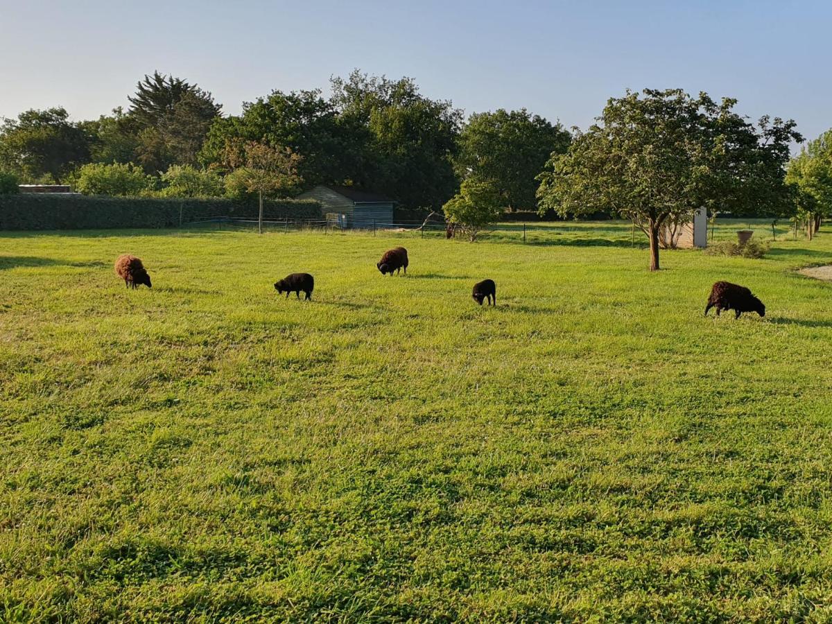Appartement independant à Sarzeau Emplacement exceptionnel 4 couchages - B&B Sarzeau