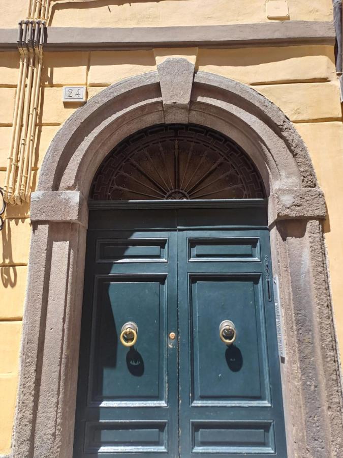 AG GUEST HOUSE - B&B Viterbo