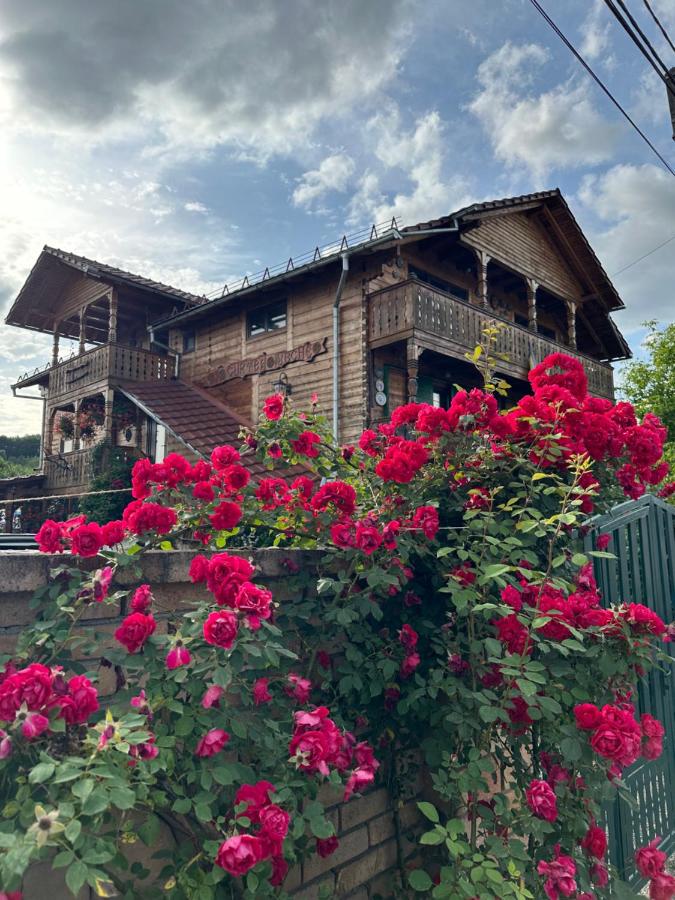 B&B Lăpuş - La Curtea Veche - Bed and Breakfast Lăpuş