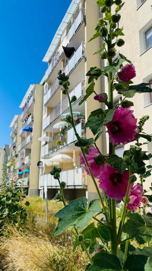 Zatoka spokoju - B&B Gdynia