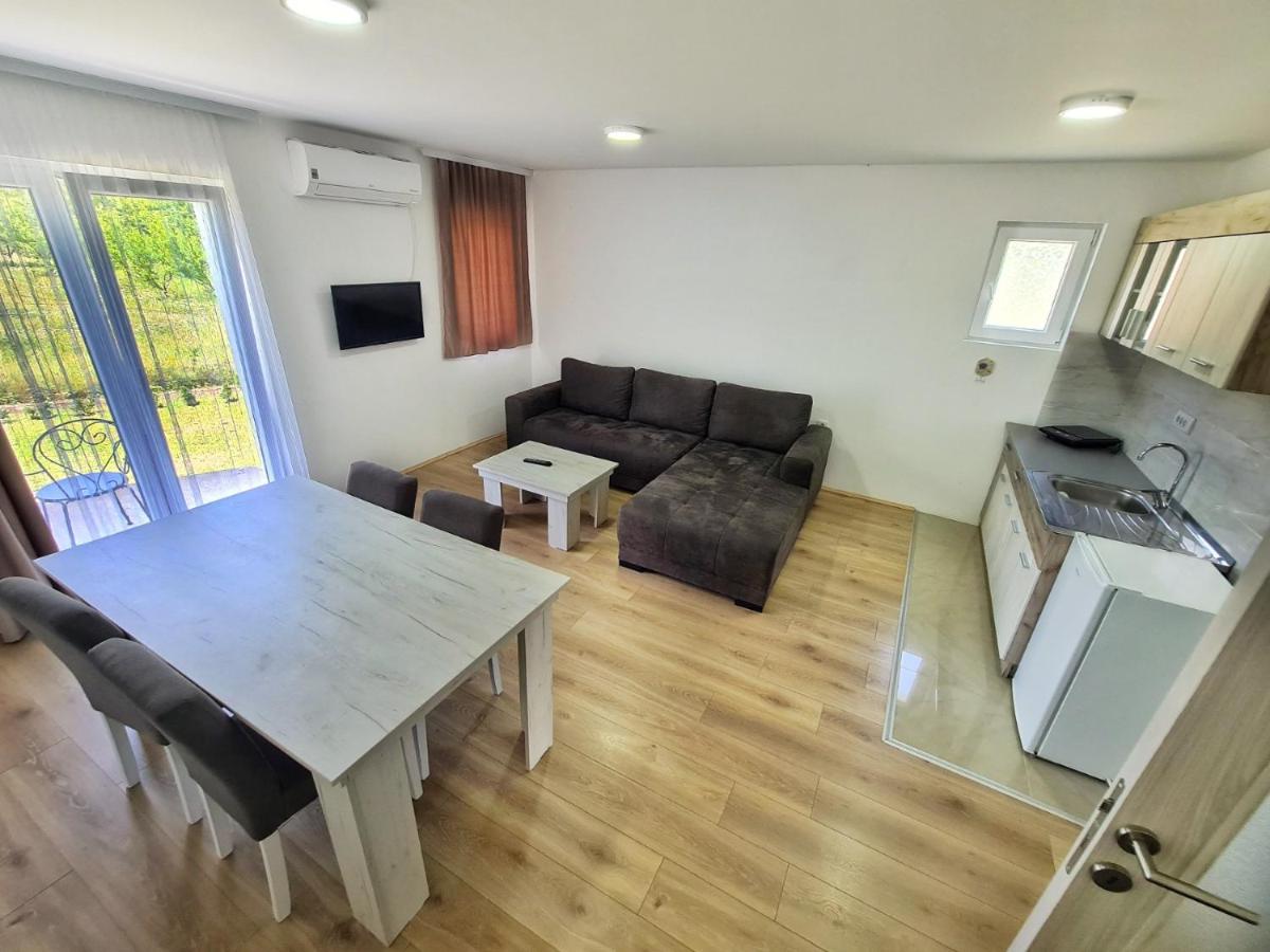 Appartement 1 Chambre