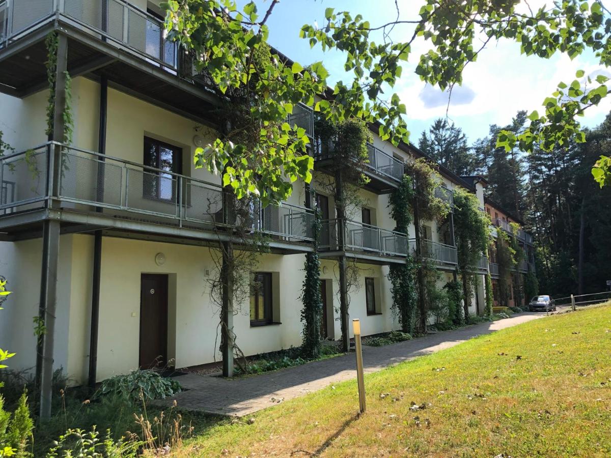 Apartment (6 Adults)