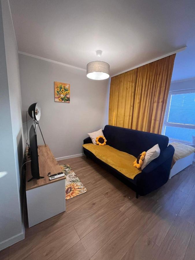 Apartment mit 1 Schlafzimmer