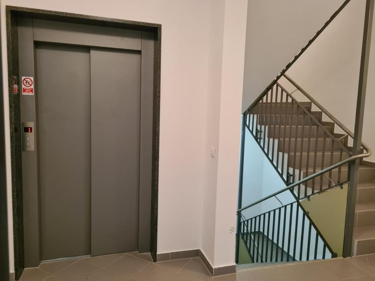 Forest View Apartment - Bed and Breakfast Pohorje