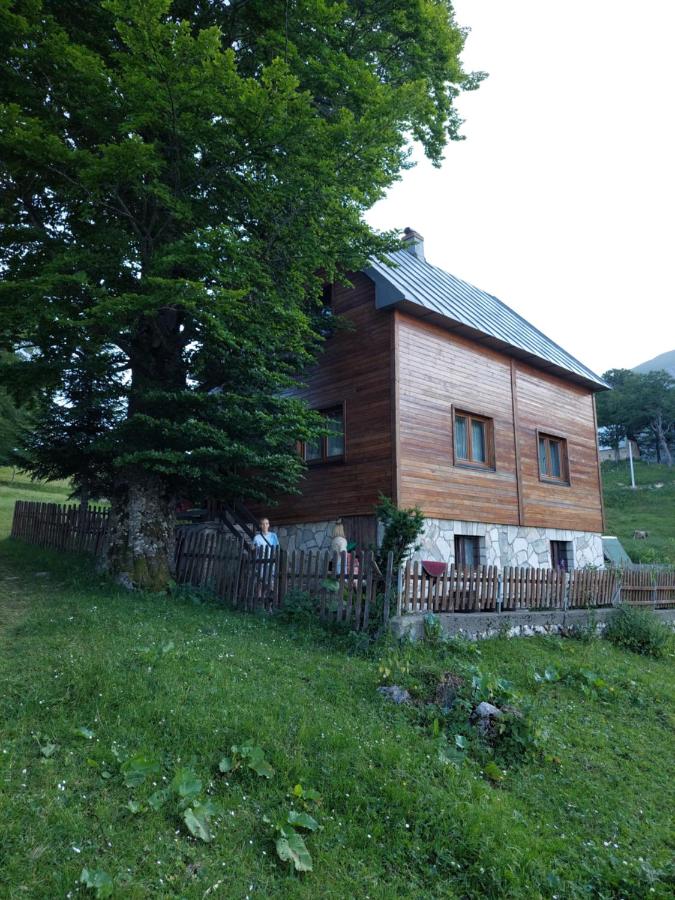 B&B Žabljak - Stara kuca u Virku - Bed and Breakfast Žabljak