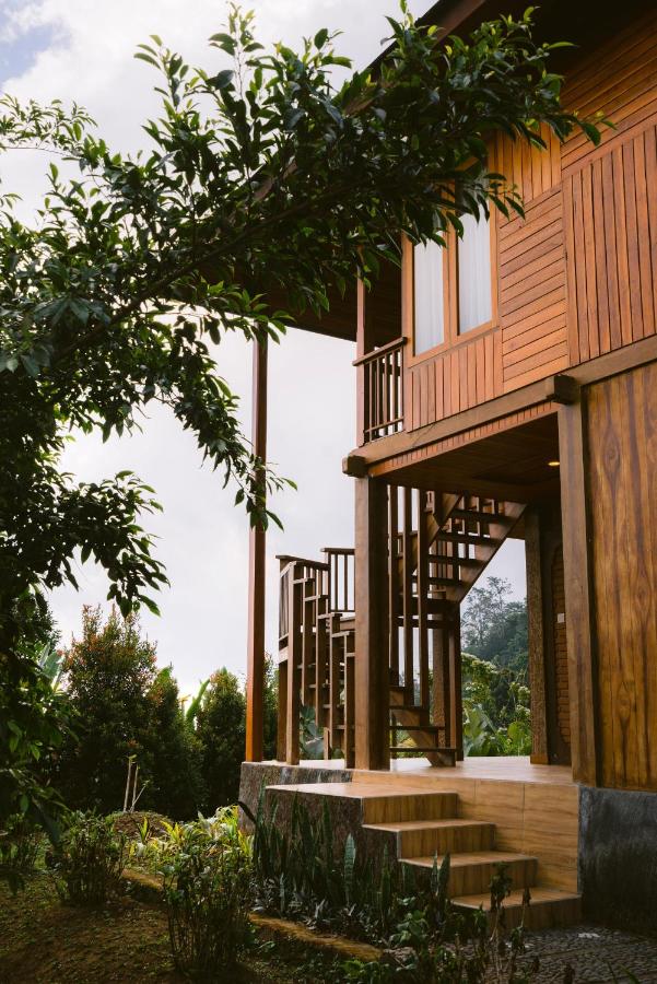 Studio with Garden View