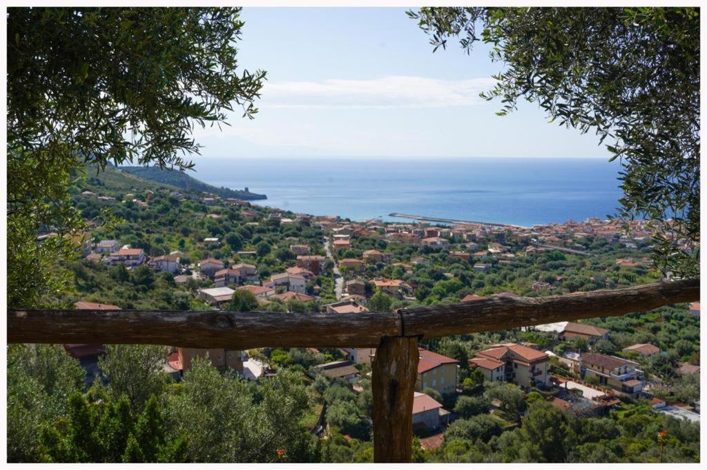 Residence Belvedere - Chambres d'hôtes Marina di Camerota