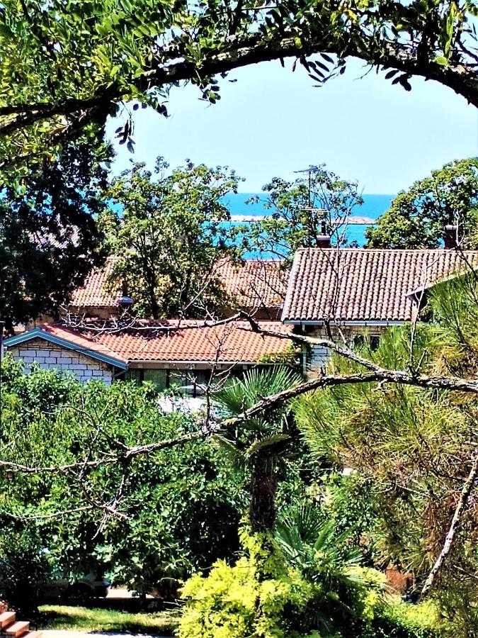 Apartman Iva - Chambres d’hôtes