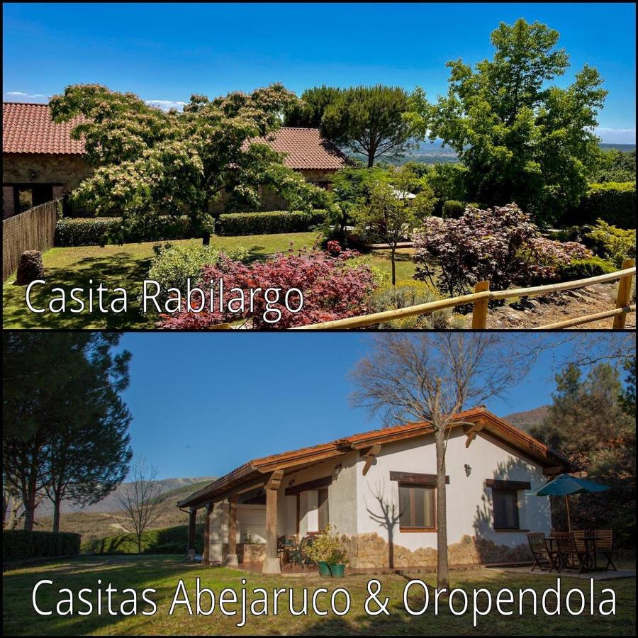 B&B El Raso - Finca La Sayuela - Bed and Breakfast El Raso