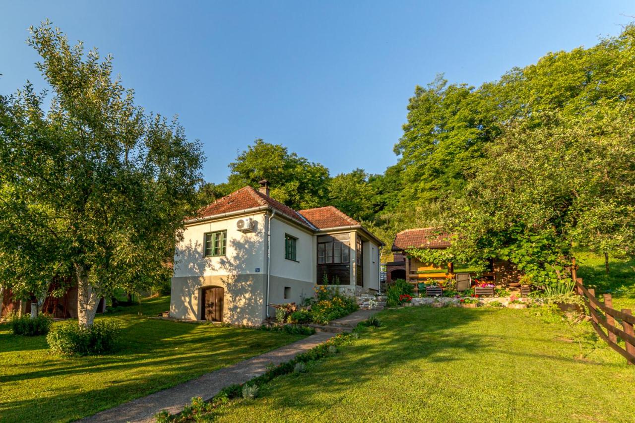 B&B Bajina Bašta - Rustična kuća CRVENA STENA u blizini kućice na Drini - Bed and Breakfast Bajina Bašta