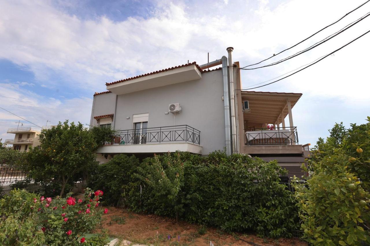 House in riviera lagonisi - Chambres d’hôtes Kalývia Thorikoú