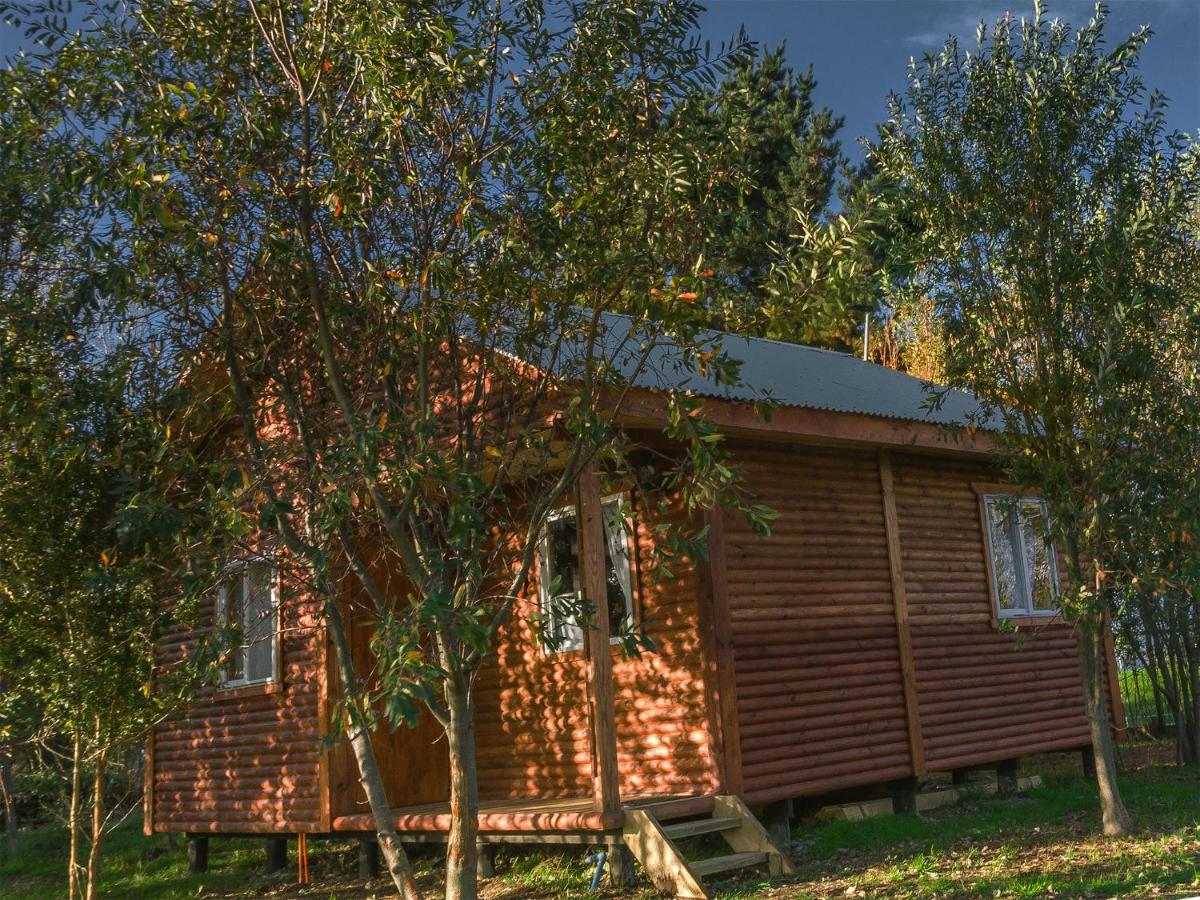 Two-Bedroom Bungalow with Forest View