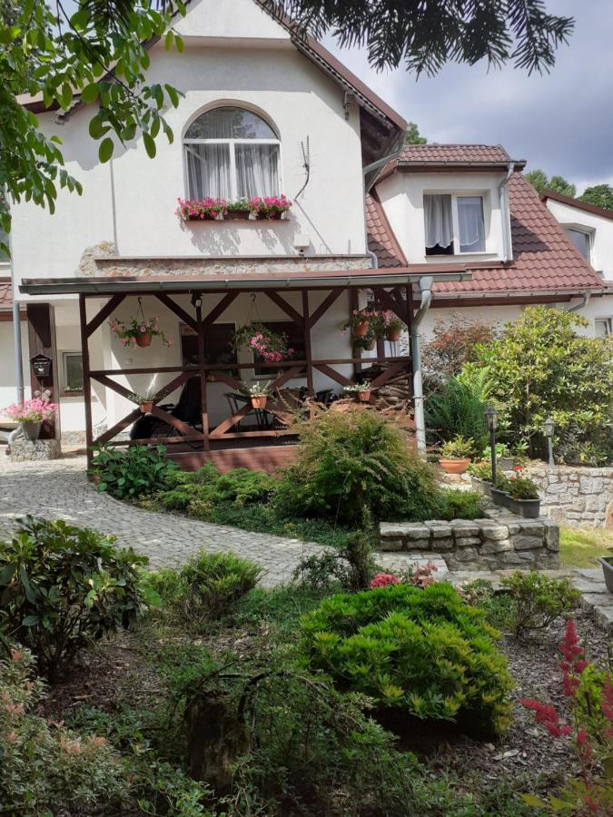 Willa Parkowa - B&B
