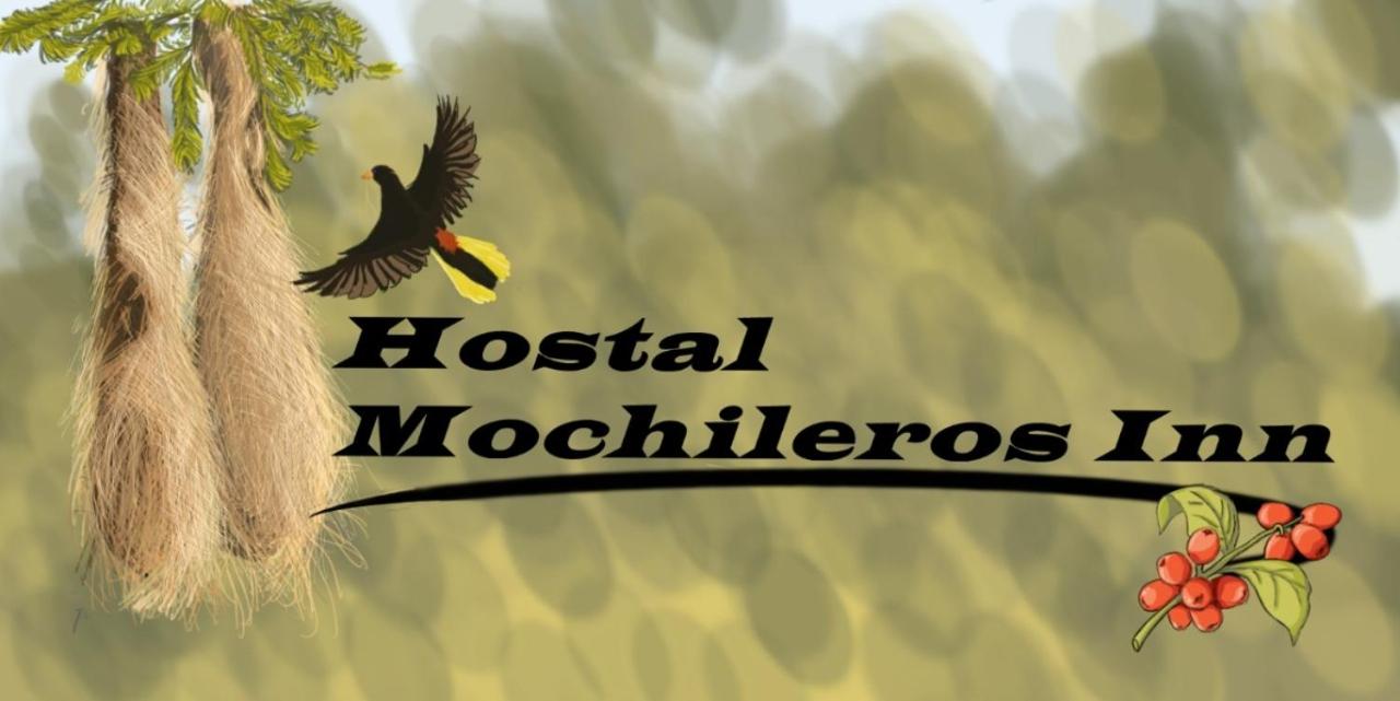 B&B Circasia - Hostal Mochileros Inn - Bed and Breakfast Circasia