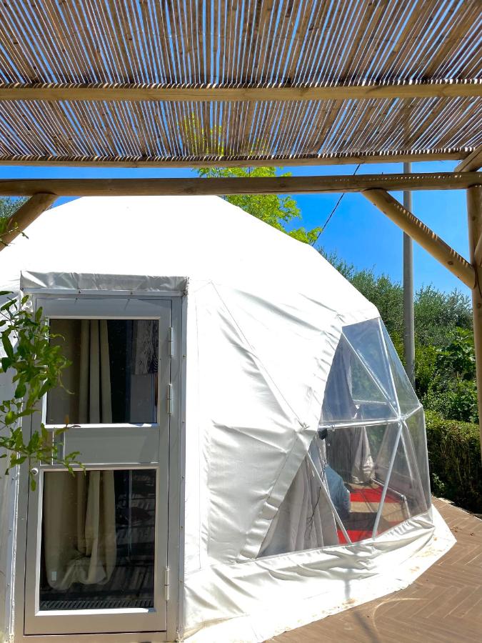 Glamping Lost - Ferienwohnung Monsampolo del Tronto