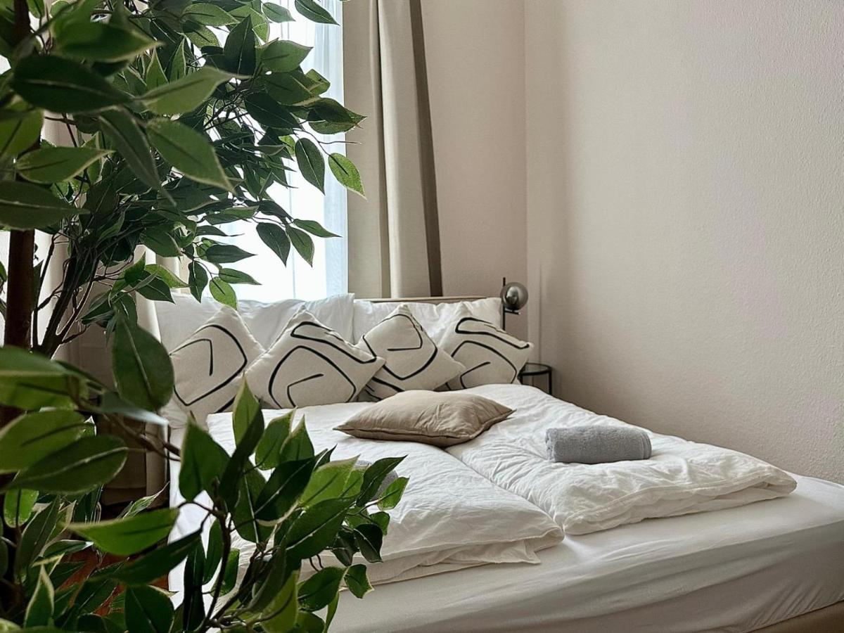 Stylish Apartment, next to Schloss Belvedere - Bed and Breakfast Wenen