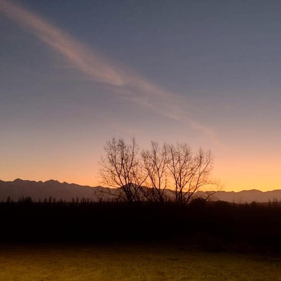 Tomero Apartamento - B&B Tupungato
