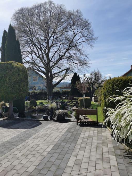 Großzügige Wohnung mit Terrasse - B&B
