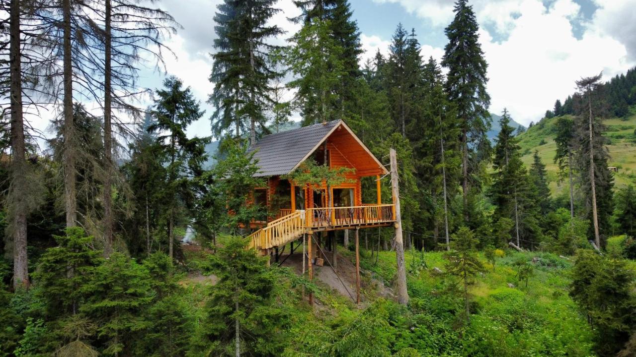 Cottage farvana - B&B Khulo
