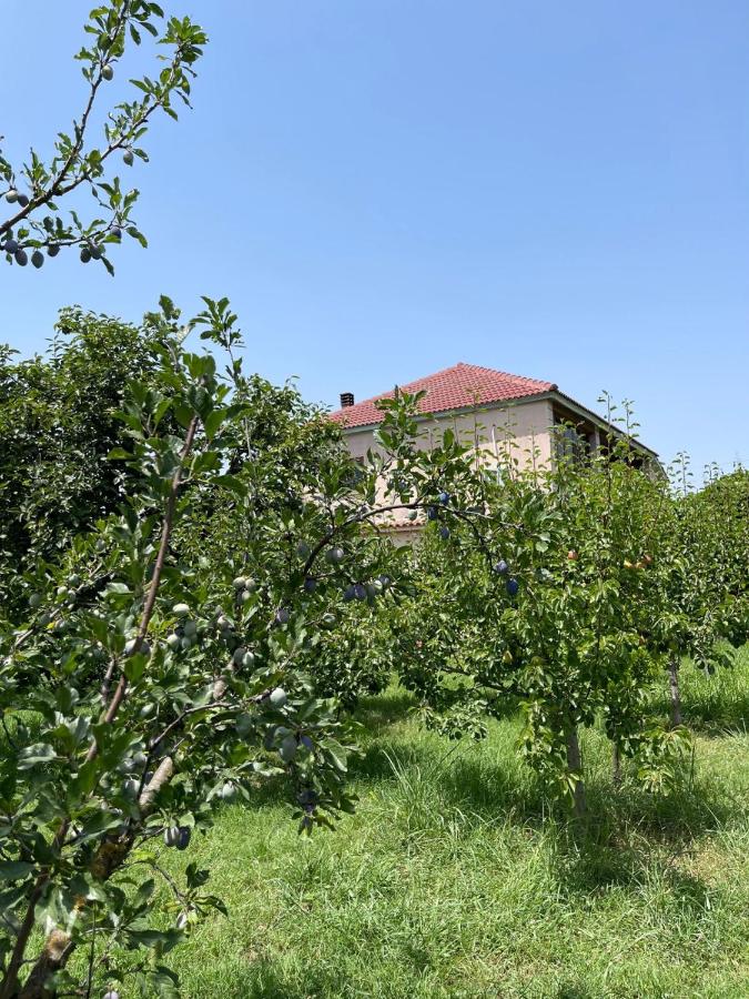 Villa Mance - B&B