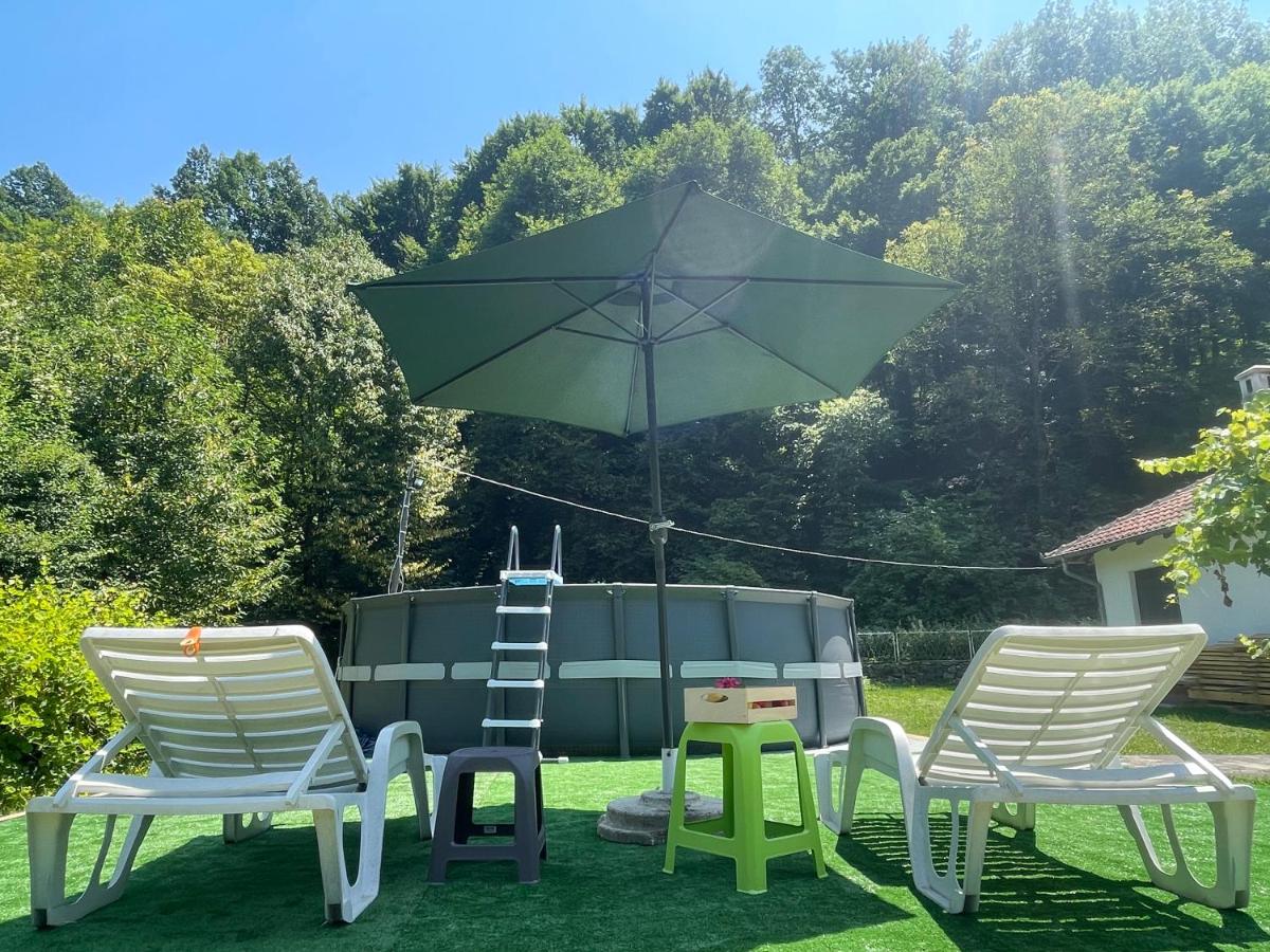 Vitez Koja - B&B Vrnjačka Banja