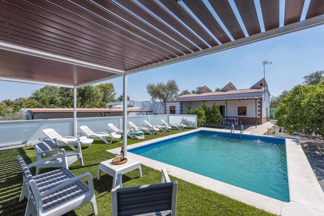 Casa Rural Adalid Campiña de Sevilla - B&B