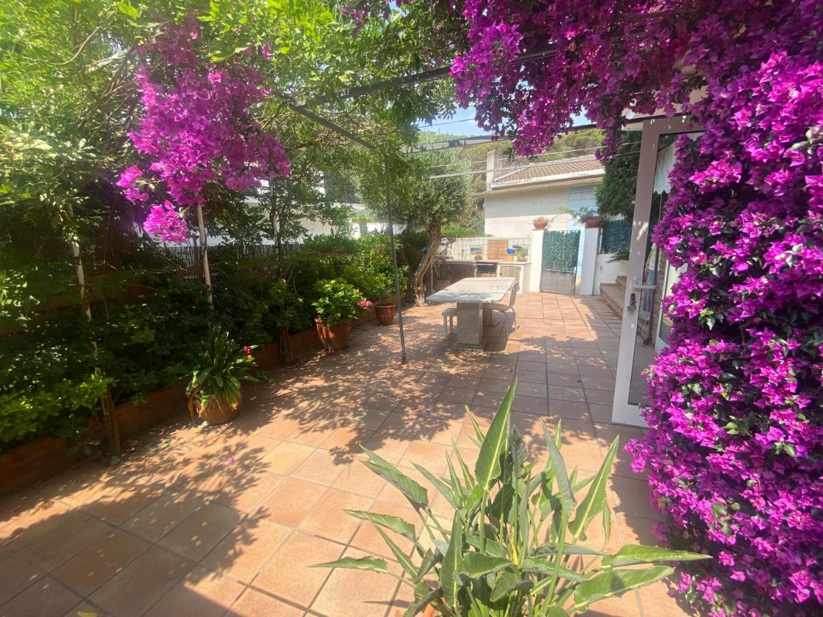 RIERA BAIXOS - B&B Tamariu
