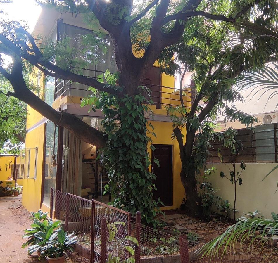 B&B Bengaluru - The Sunshine Bungalow - Bed and Breakfast Bengaluru