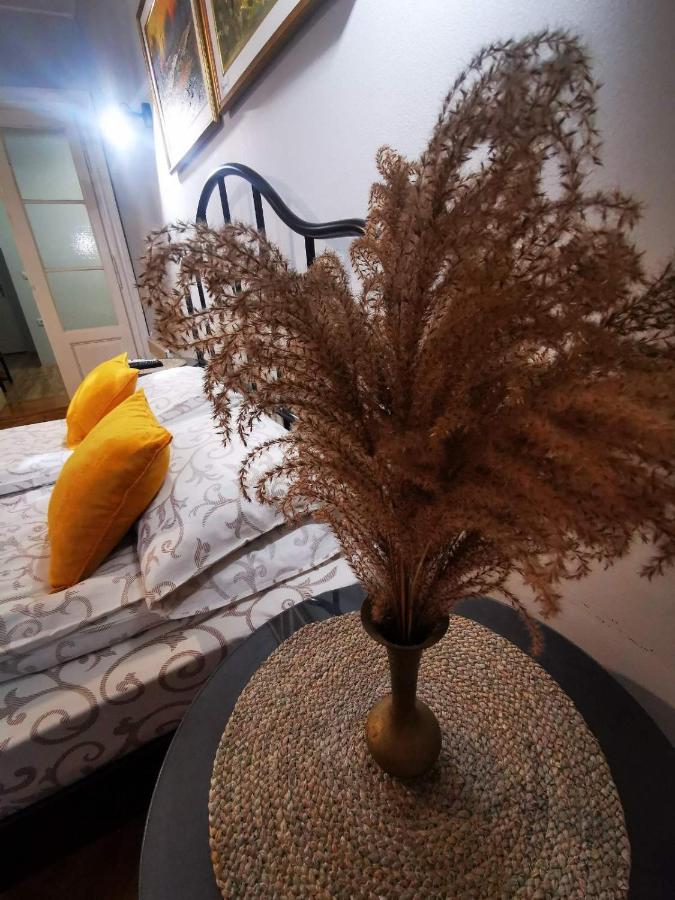 Appartement - Begane Grond