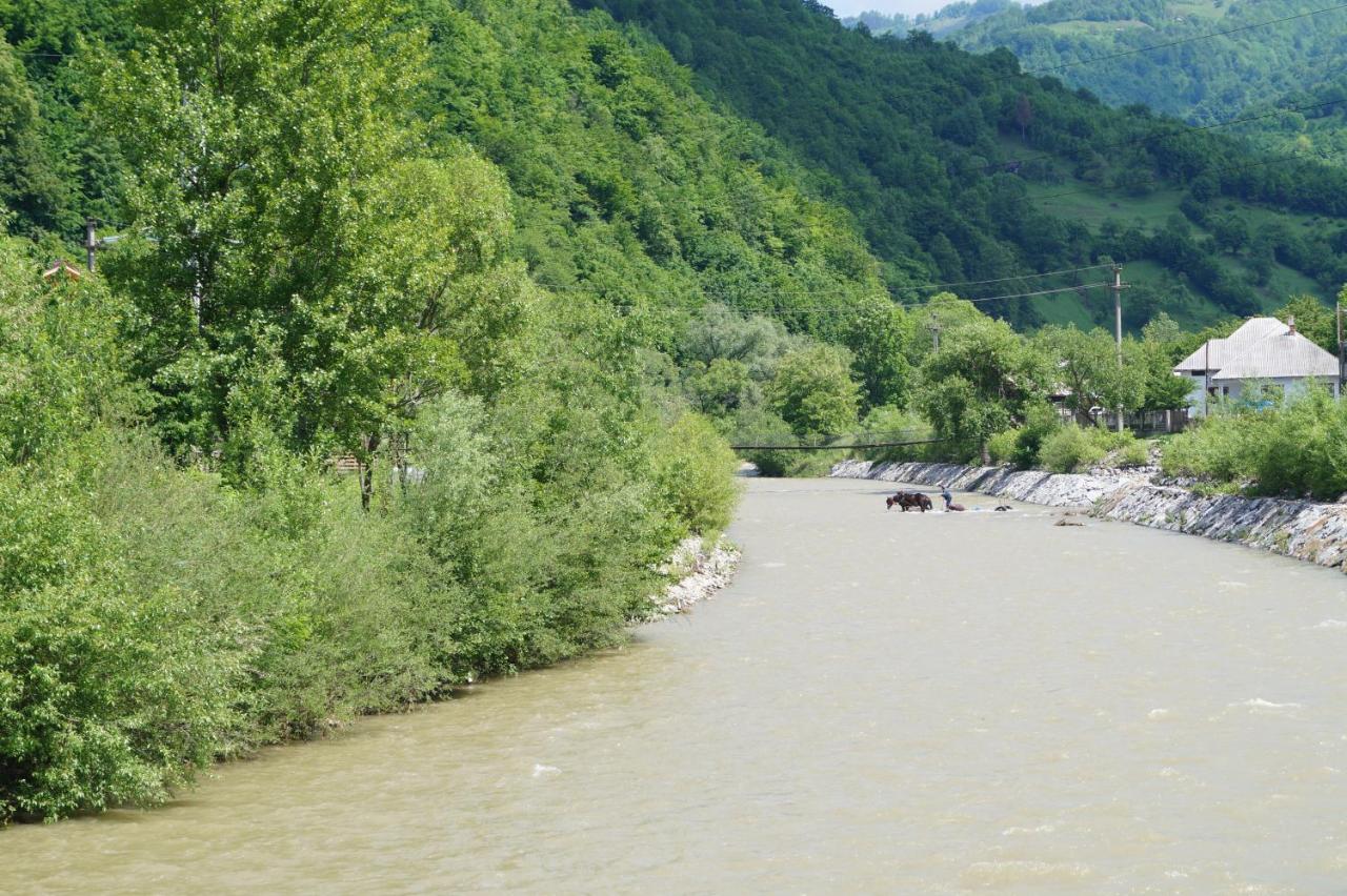Anahouse - B&B Vişeu de Sus