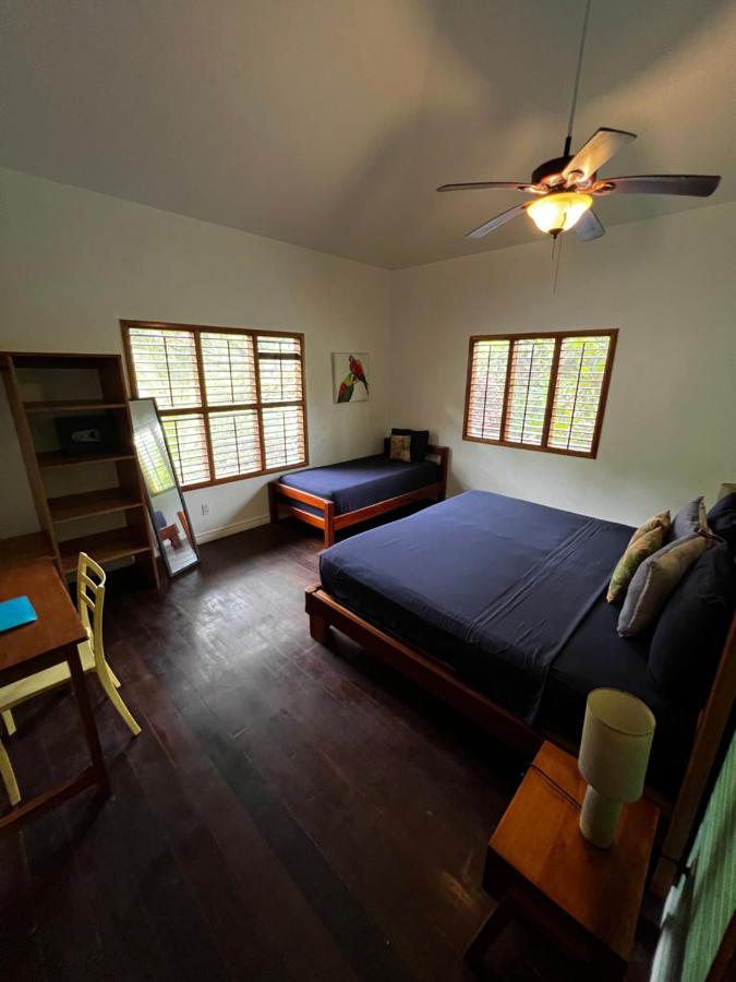 King or Twin Room with Jungle View 