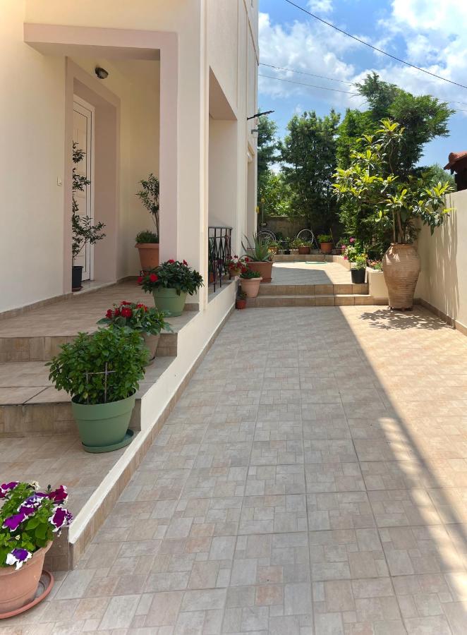 Haplotēs studio - B&B